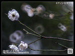 _K0U7807