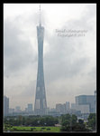 Re_IMG_1612