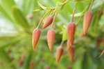 IMG_0570_s