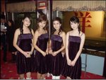 紫荊5