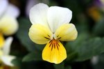 IMG_2473p