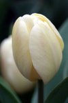 IMG_2523