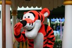 IMG_1832p