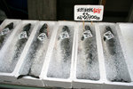 Hokaido006