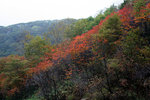 Hokaido026