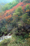Hokaido029
