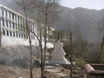 SANY0956
