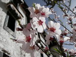 SANY0978