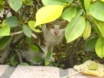DSC00217