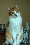 DSC00449
