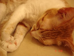 DSC01043