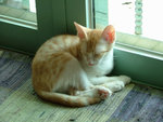 DSCF0194