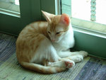 DSCF0195
