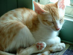 DSCF0196