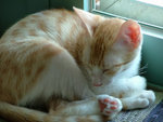DSCF0197