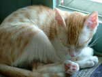 DSCF0198