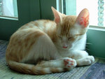 DSCF0205