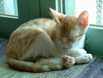 DSCF0206