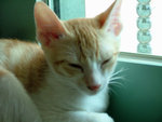 DSCF0207
