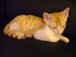 DSCF0260