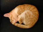 DSCF0655