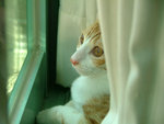 DSCF1117