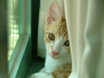 DSCF1118