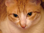 DSCF1710