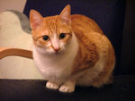 DSCF2274
