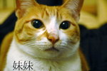 DSC_0054_1[1]