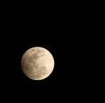 _DSC0051