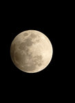_DSC0052