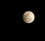 _DSC0053