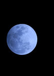 _DSC0087