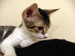 DSCF0073