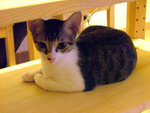 DSCF0247