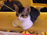 DSCF0252