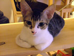 DSCF0255