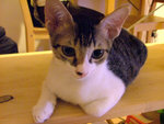 DSCF0256