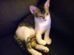 DSCF0259