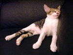 DSCF0279