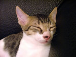 DSCF0282