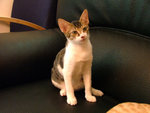 DSCF0624