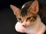 DSCF0627