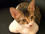 DSCF0628