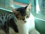 DSCF0751