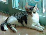 DSCF0765
