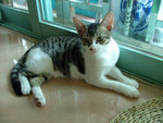 DSCF0779