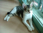 DSCF0785