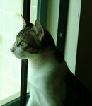DSCF1107